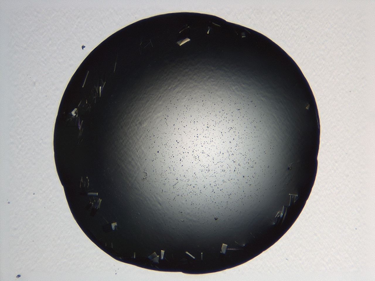04kj_D10_ImagerDefaults_9.jpg