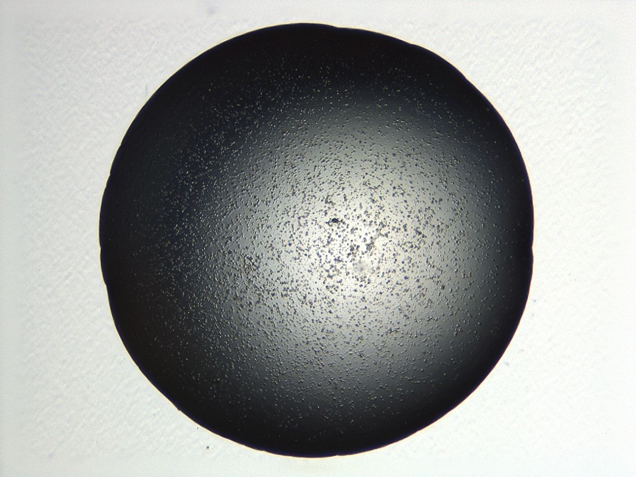 04kj_D12_ImagerDefaults_3.jpg