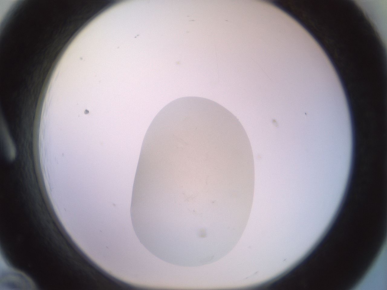 folderID558_plateID3558_batchID22366_wellNum12_profileID1_d1_r317786_ef.jpg