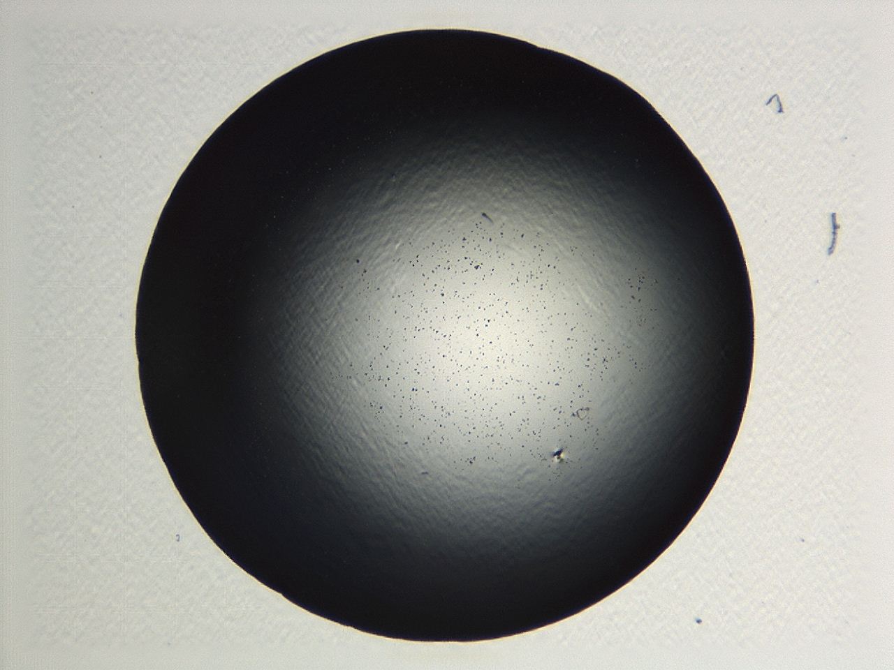 04kj_E11_ImagerDefaults_0.jpg