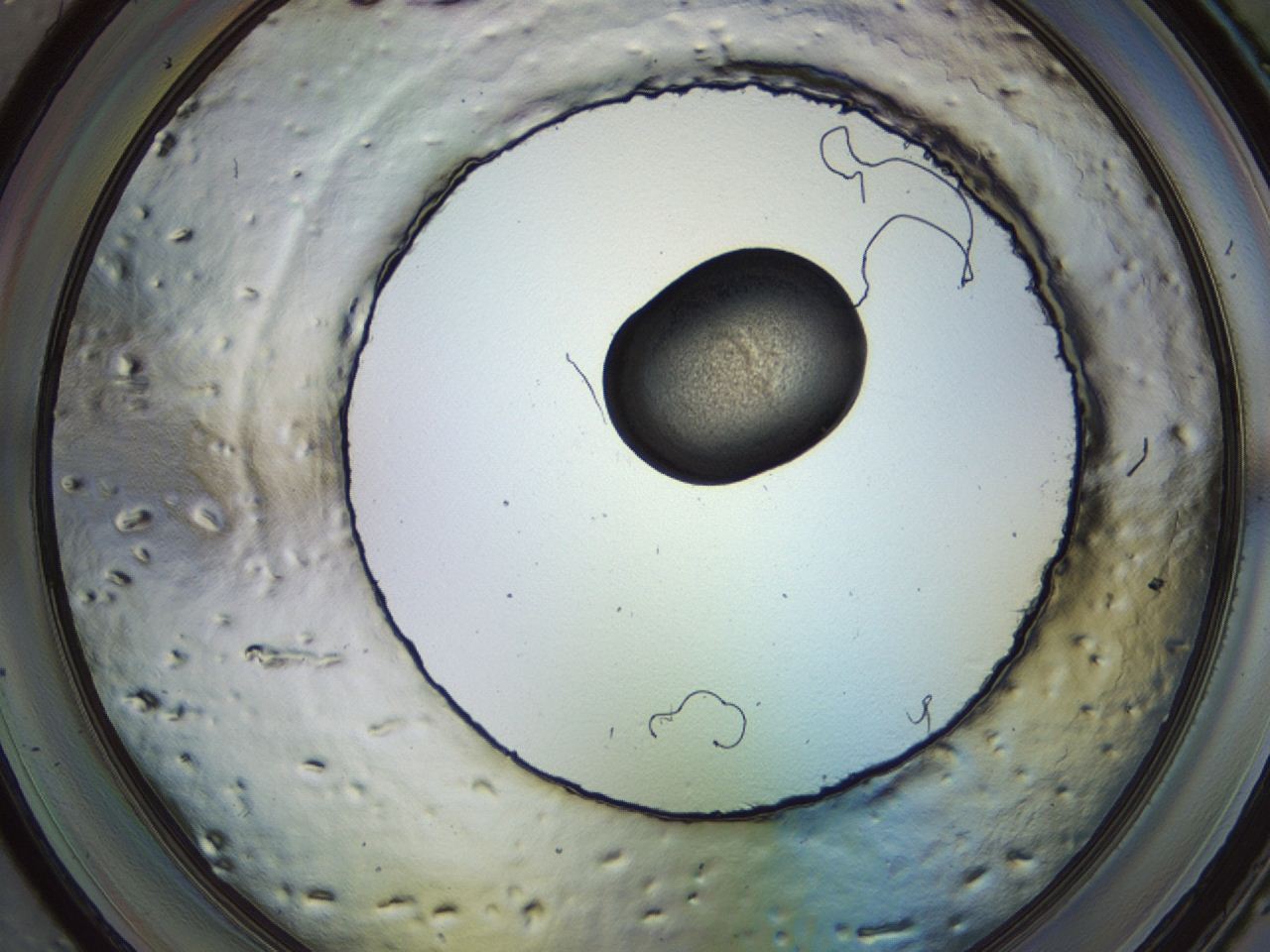 04kj_F2_ImagerDefaults_3.jpg