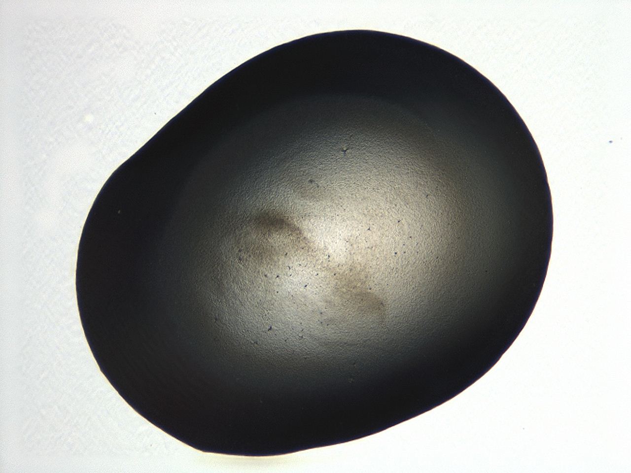 04kj_F8_ImagerDefaults_3.jpg