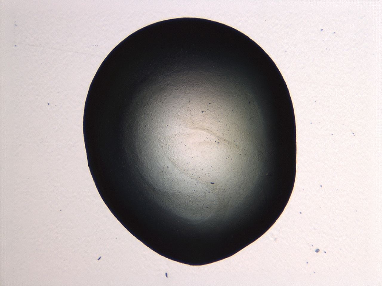 04kj_F11_ImagerDefaults_3.jpg