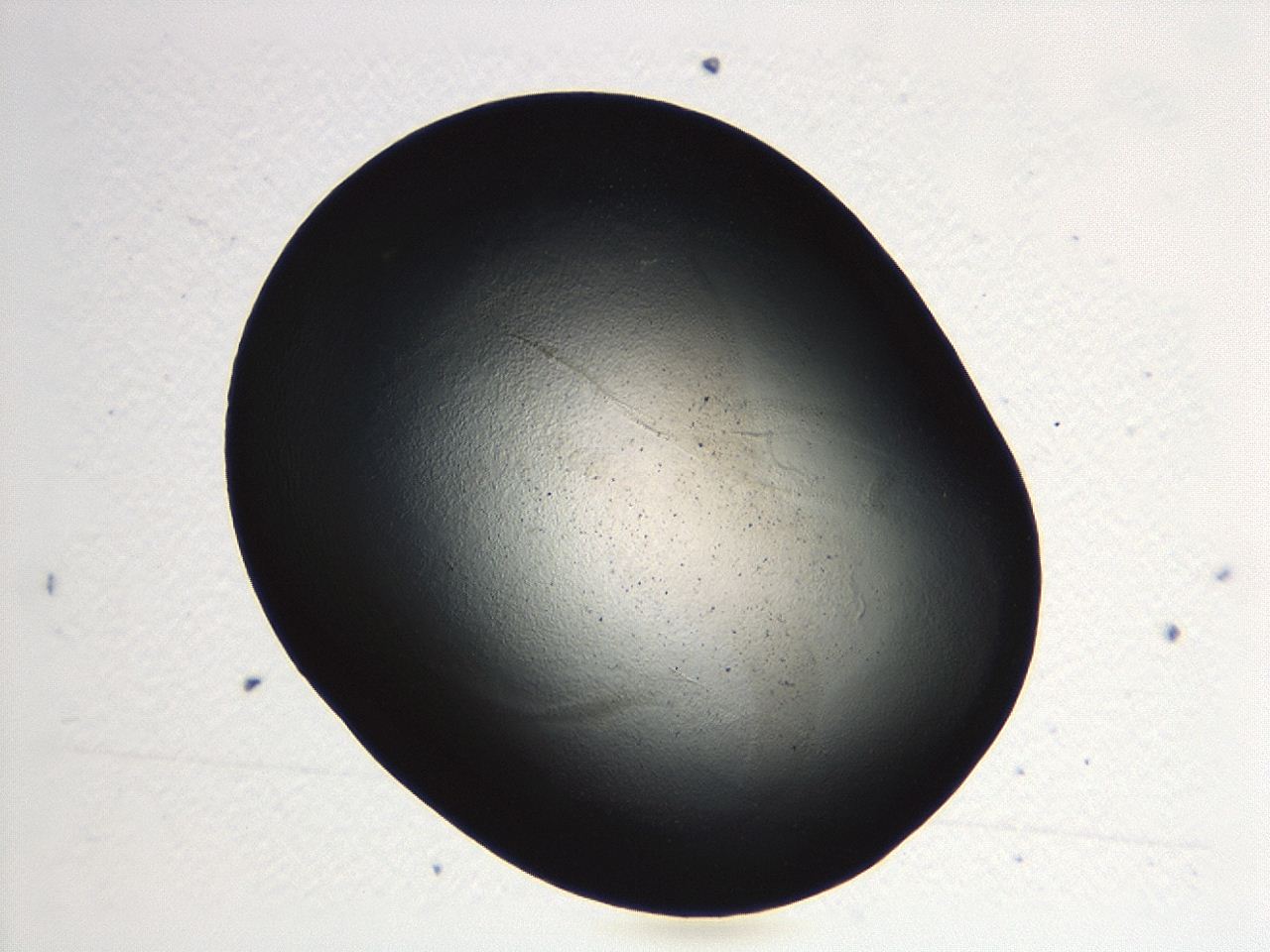 04kj_F12_ImagerDefaults_3.jpg