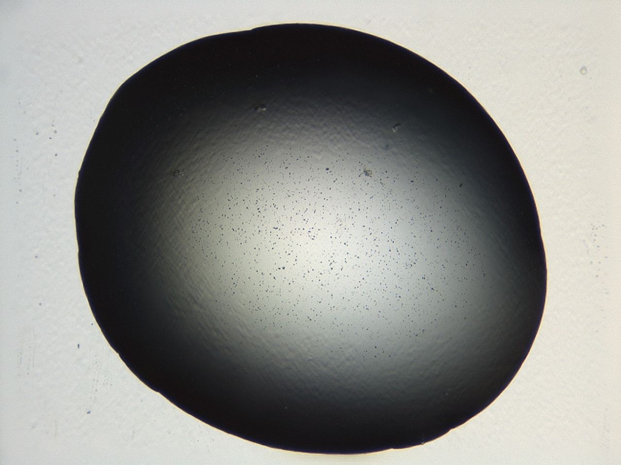 04kj_G12_ImagerDefaults_0.jpg