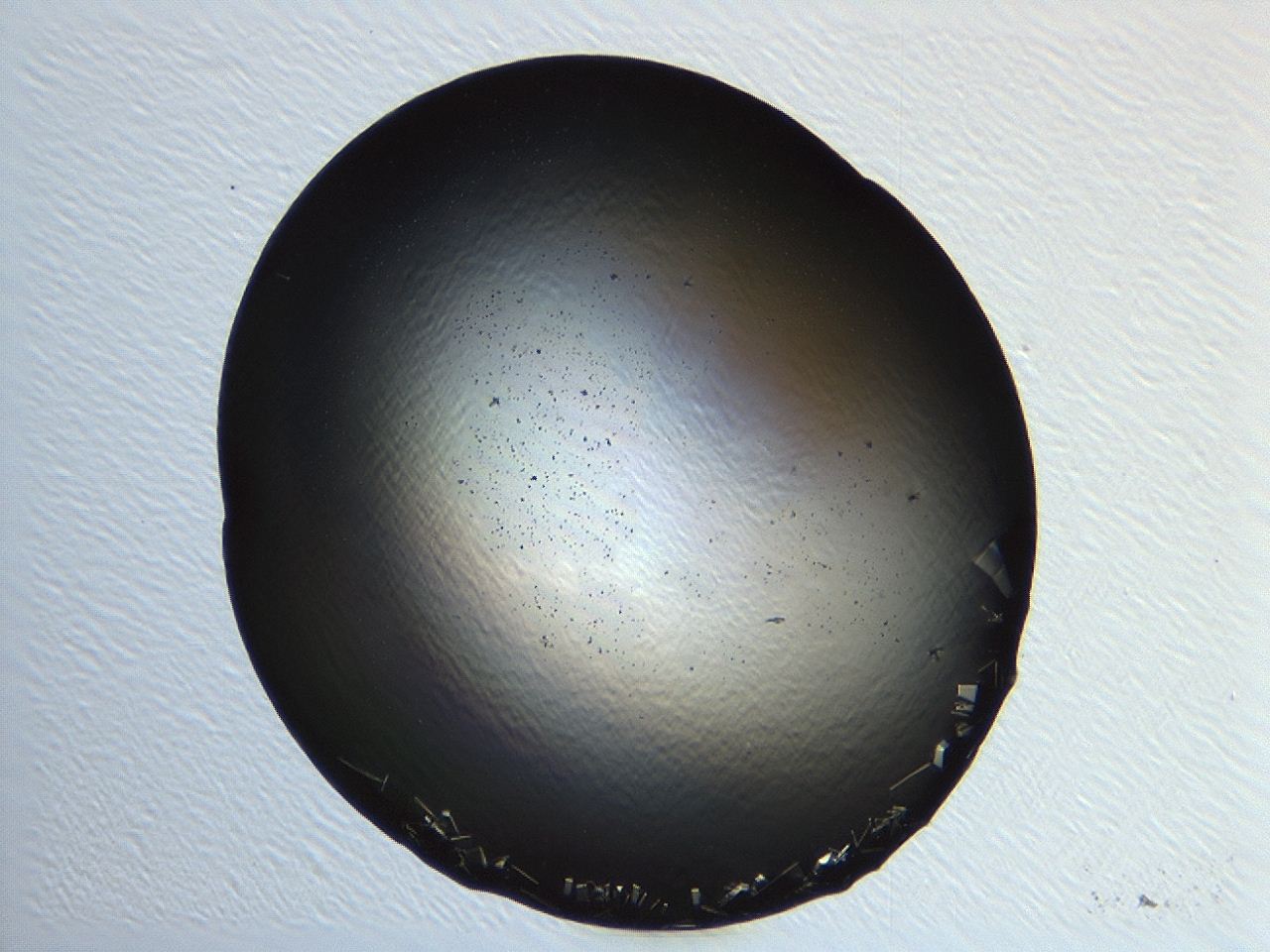 04kj_H5_ImagerDefaults_0.jpg