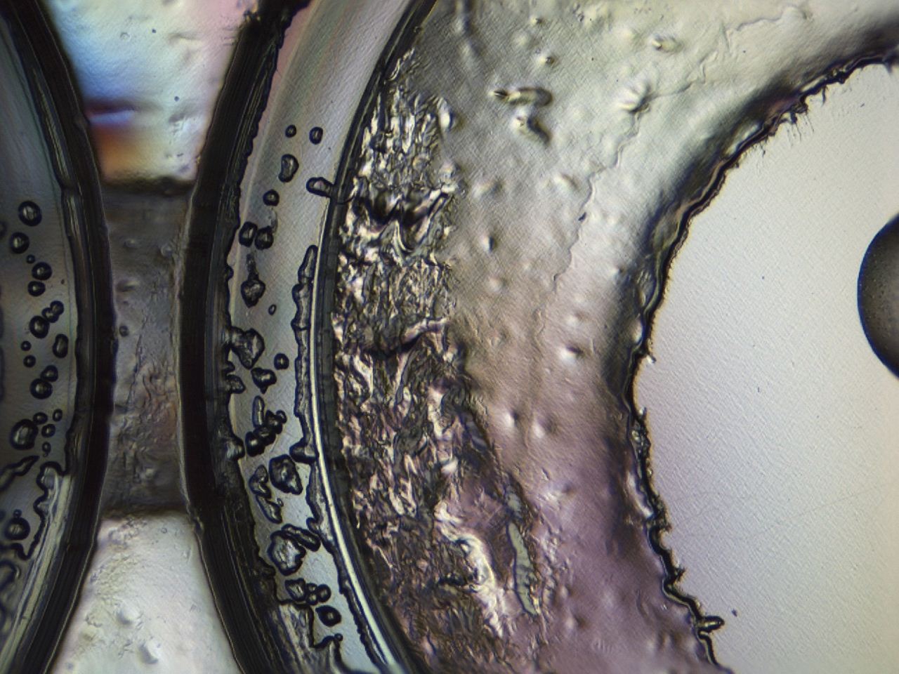 04kj_H7_ImagerDefaults_9.jpg