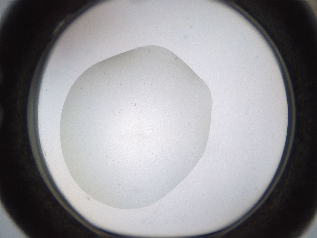 folderID574_plateID1574_batchID6306_wellNum28_profileID1_d1_r103050_ef.jpg