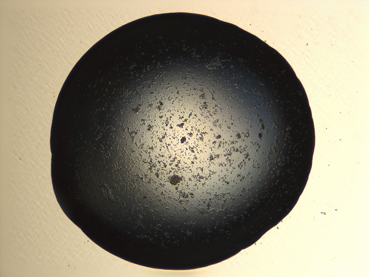 04kk_A11_ImagerDefaults_3.jpg