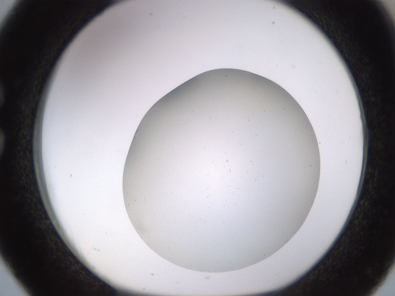 folderID575_plateID1575_batchID6393_wellNum26_profileID1_d1_r103169_ef.jpg