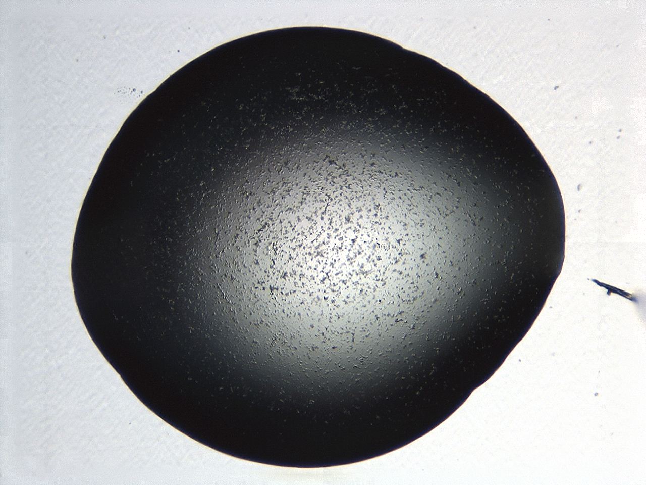 04kk_C5_ImagerDefaults_3.jpg