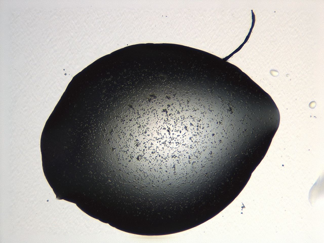 04kk_C6_ImagerDefaults_0.jpg