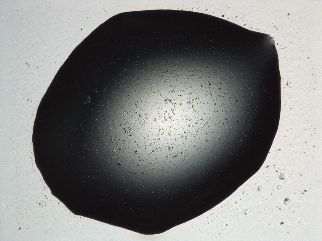 04kk_C11_ImagerDefaults_3.jpg