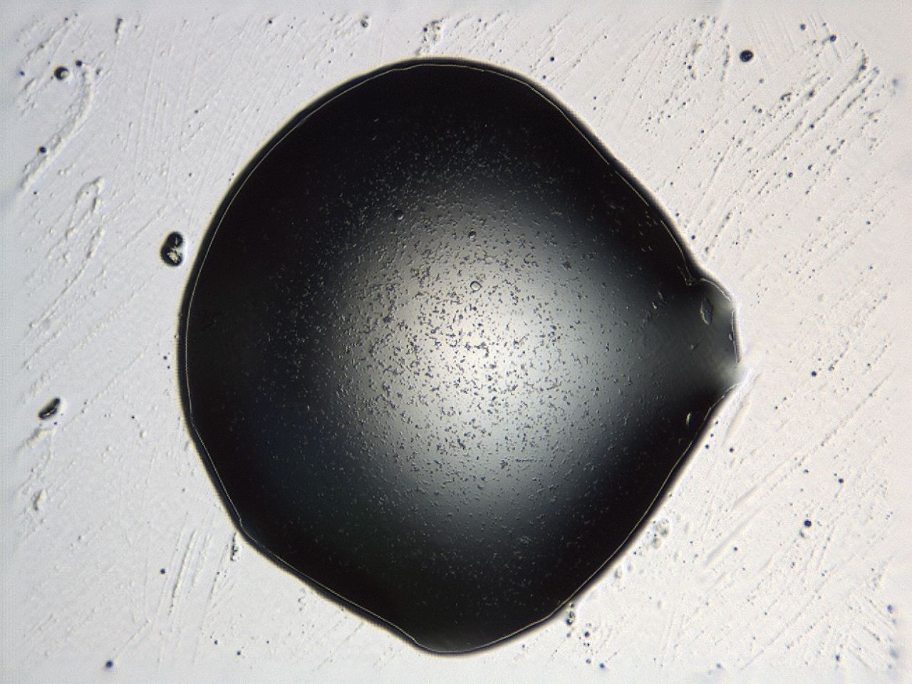 04kk_D10_ImagerDefaults_3.jpg