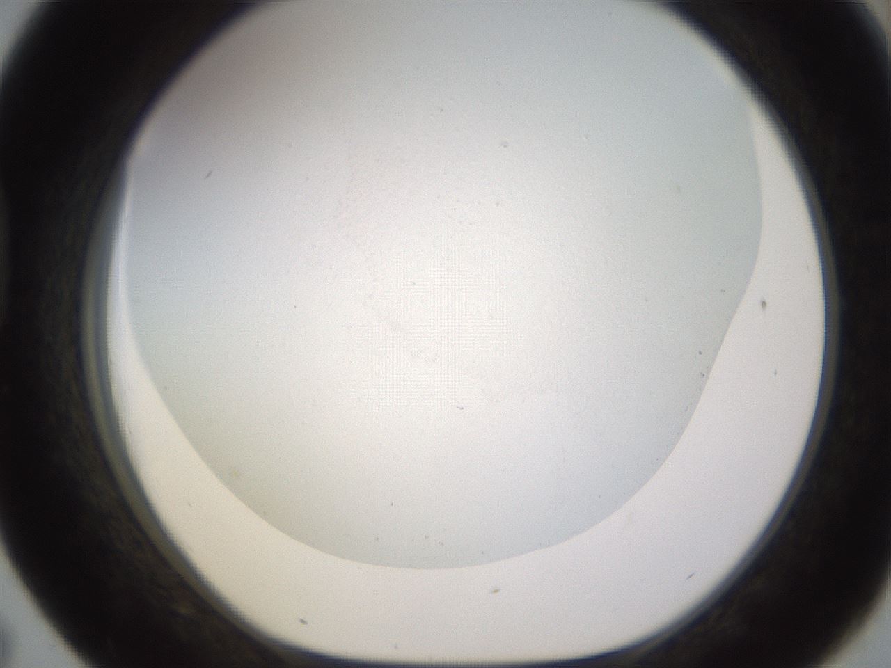 folderID579_plateID1579_batchID6371_wellNum43_profileID1_d1_r103641_ef.jpg
