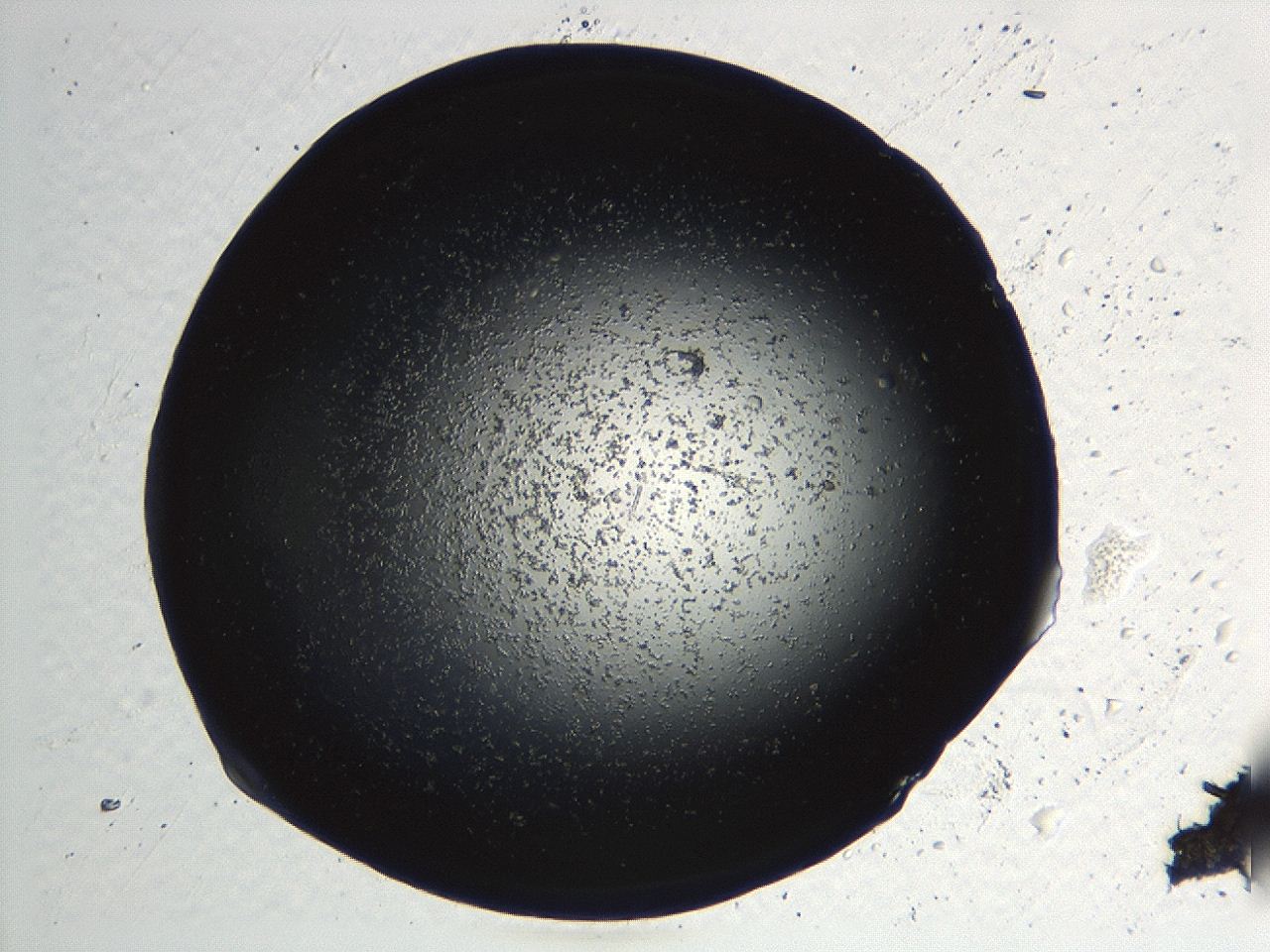 04kk_D11_ImagerDefaults_3.jpg