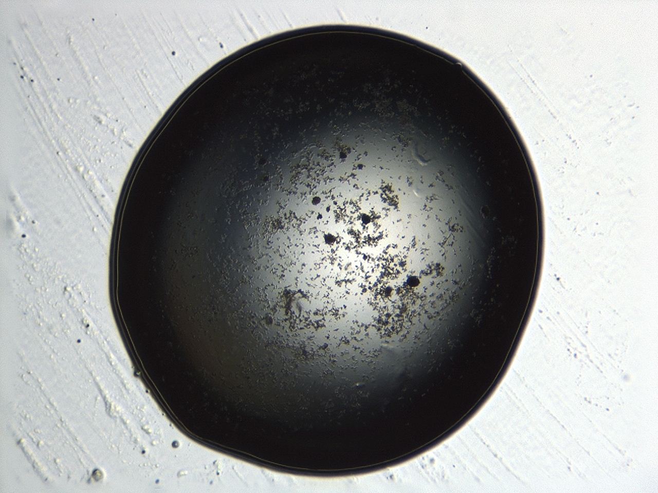04kk_E12_ImagerDefaults_3.jpg