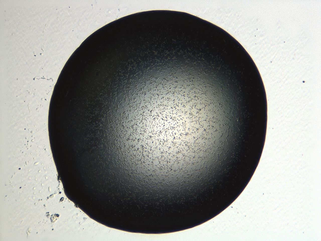 04kk_F3_ImagerDefaults_3.jpg