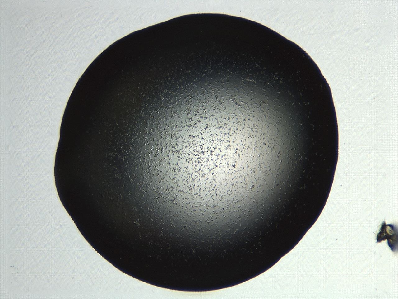 04kk_F4_ImagerDefaults_3.jpg
