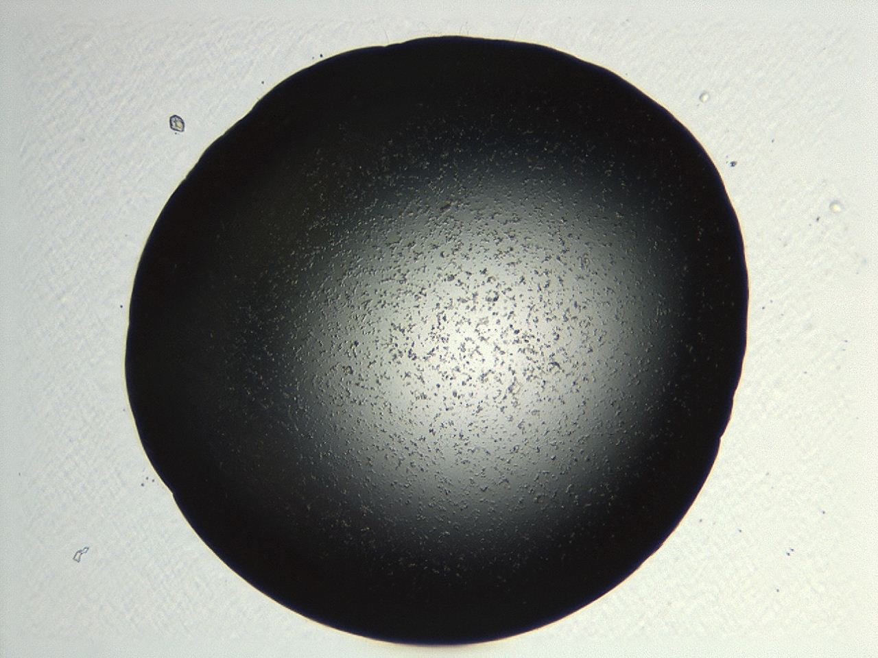 04kk_F5_ImagerDefaults_3.jpg