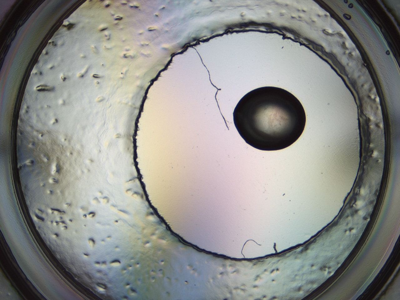 04kk_F11_ImagerDefaults_3.jpg