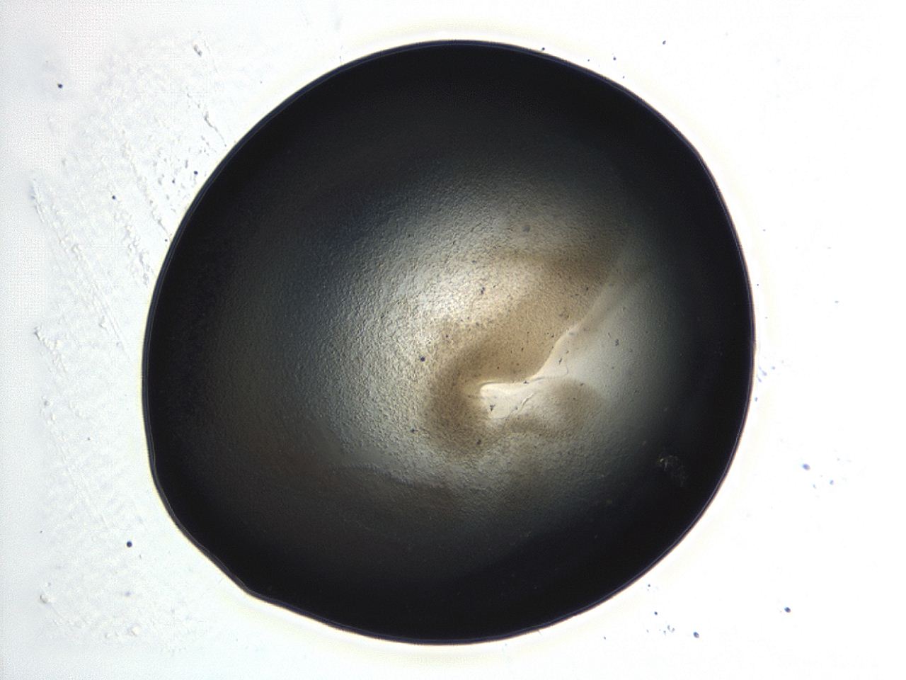 04kk_F12_ImagerDefaults_3.jpg