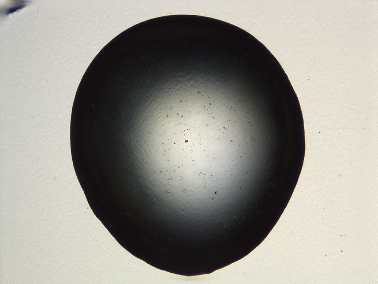 04kk_G1_ImagerDefaults_0.jpg
