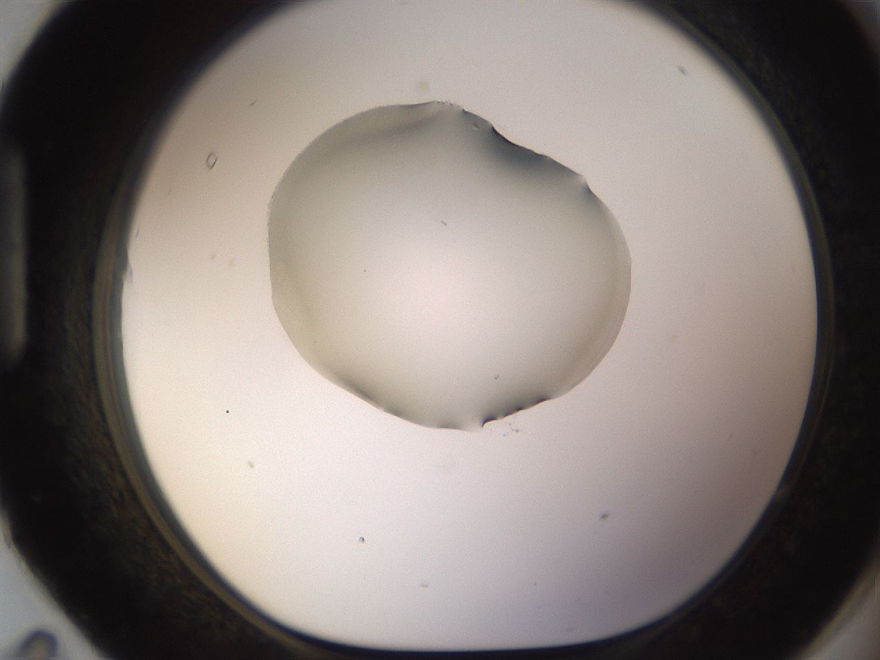 folderID583_plateID1583_batchID6509_wellNum95_profileID1_d1_r104413_ef.jpg