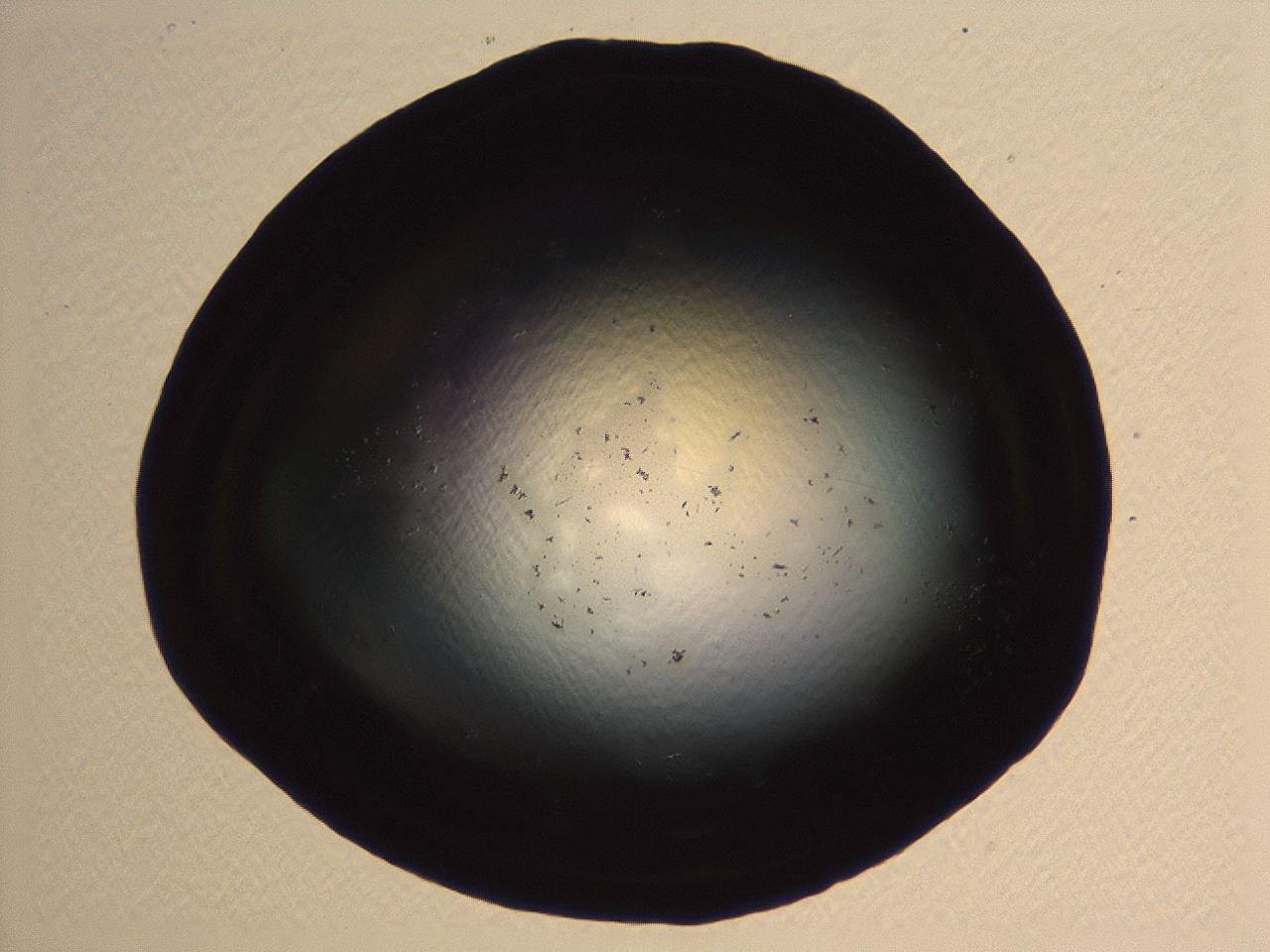 04kk_G2_ImagerDefaults_0.jpg