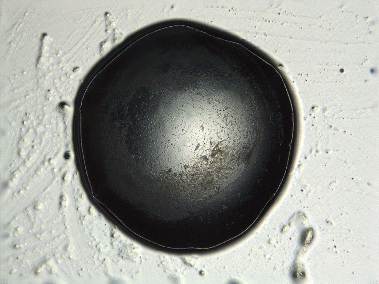 04kk_G9_ImagerDefaults_3.jpg