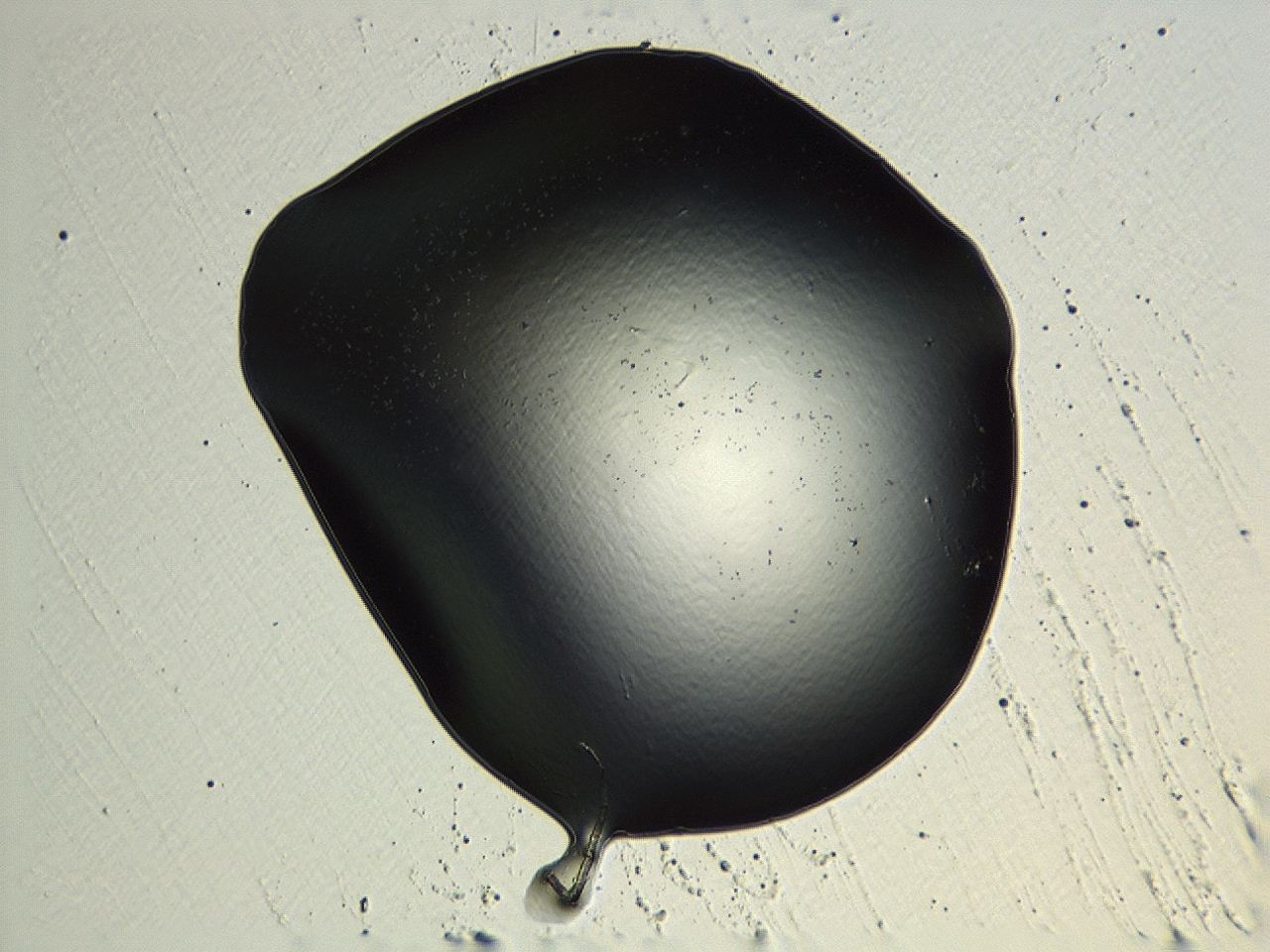 04kk_G10_ImagerDefaults_0.jpg