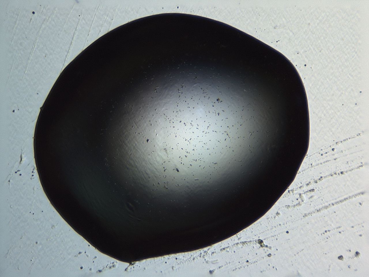 04kk_G11_ImagerDefaults_0.jpg