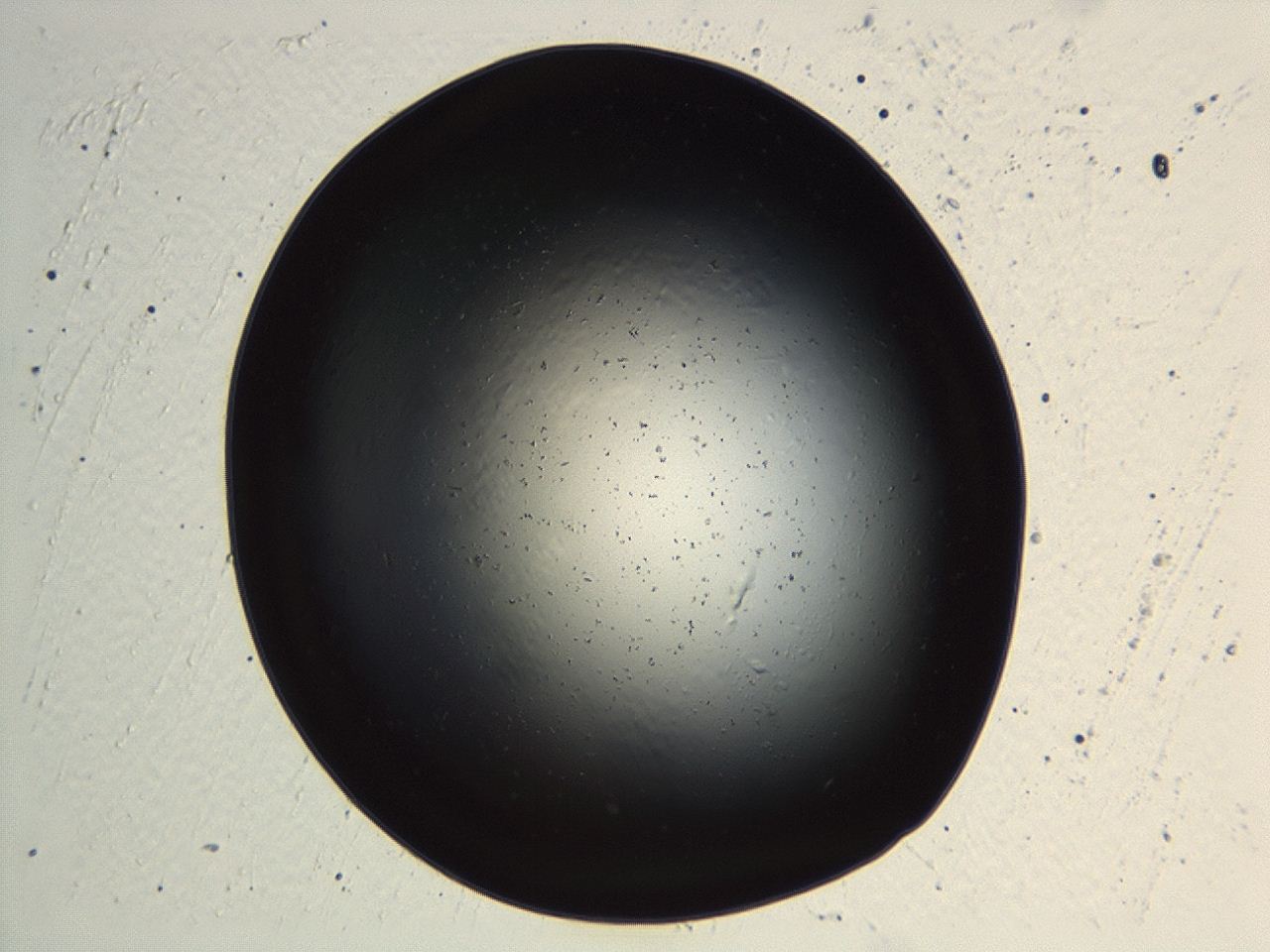 04kk_G12_ImagerDefaults_0.jpg