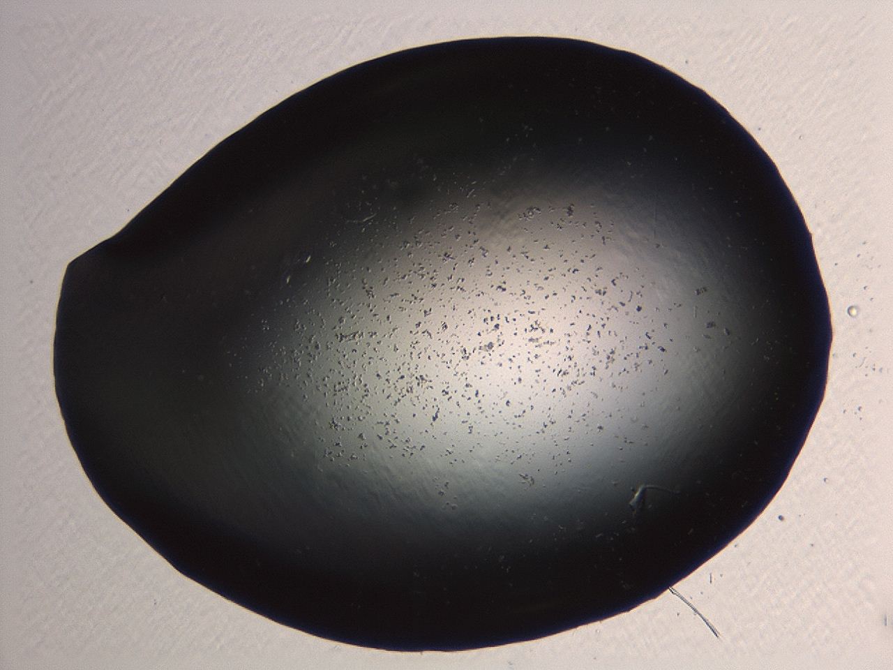 04kk_H6_ImagerDefaults_3.jpg