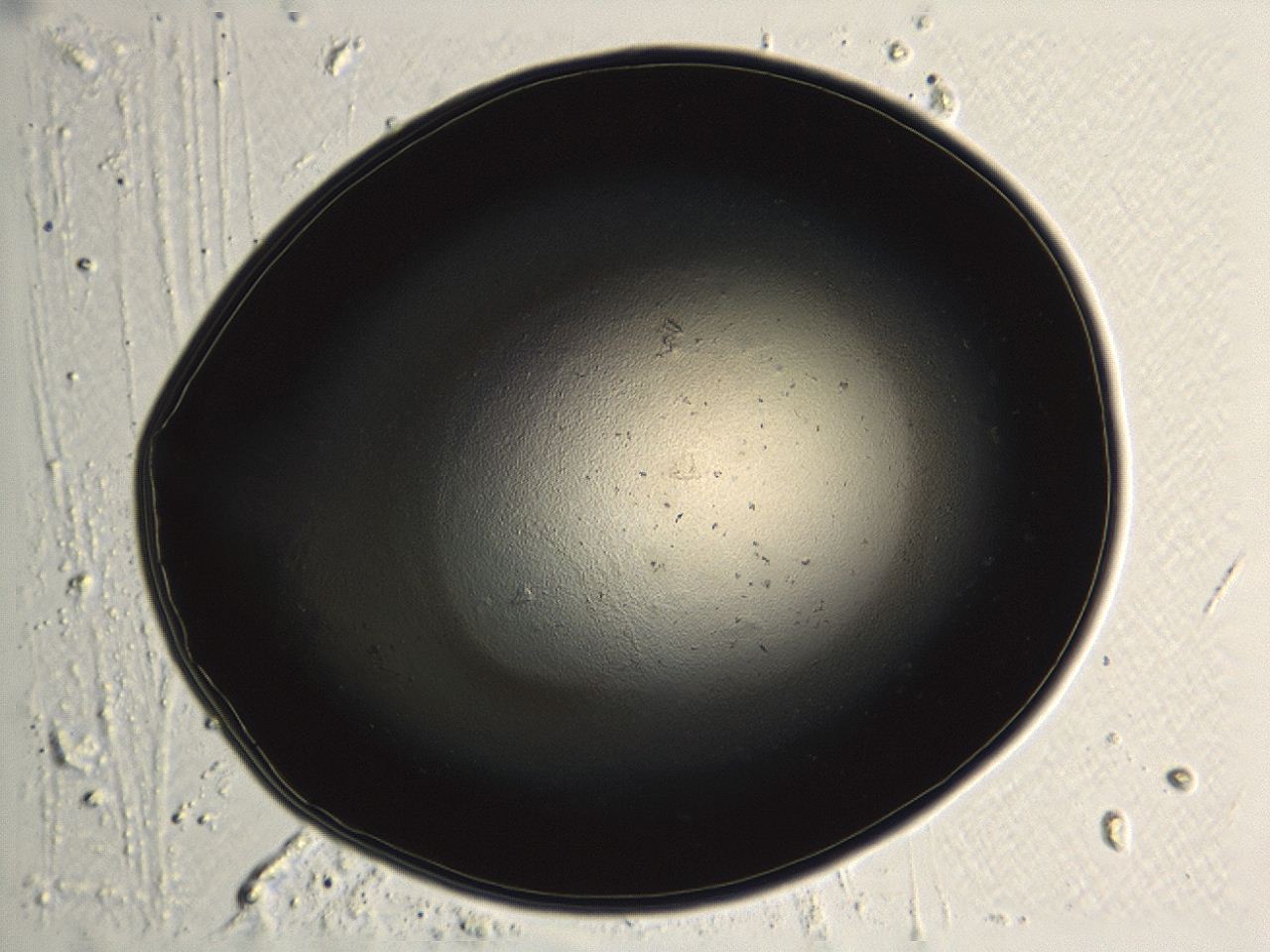 04kk_H10_ImagerDefaults_0.jpg