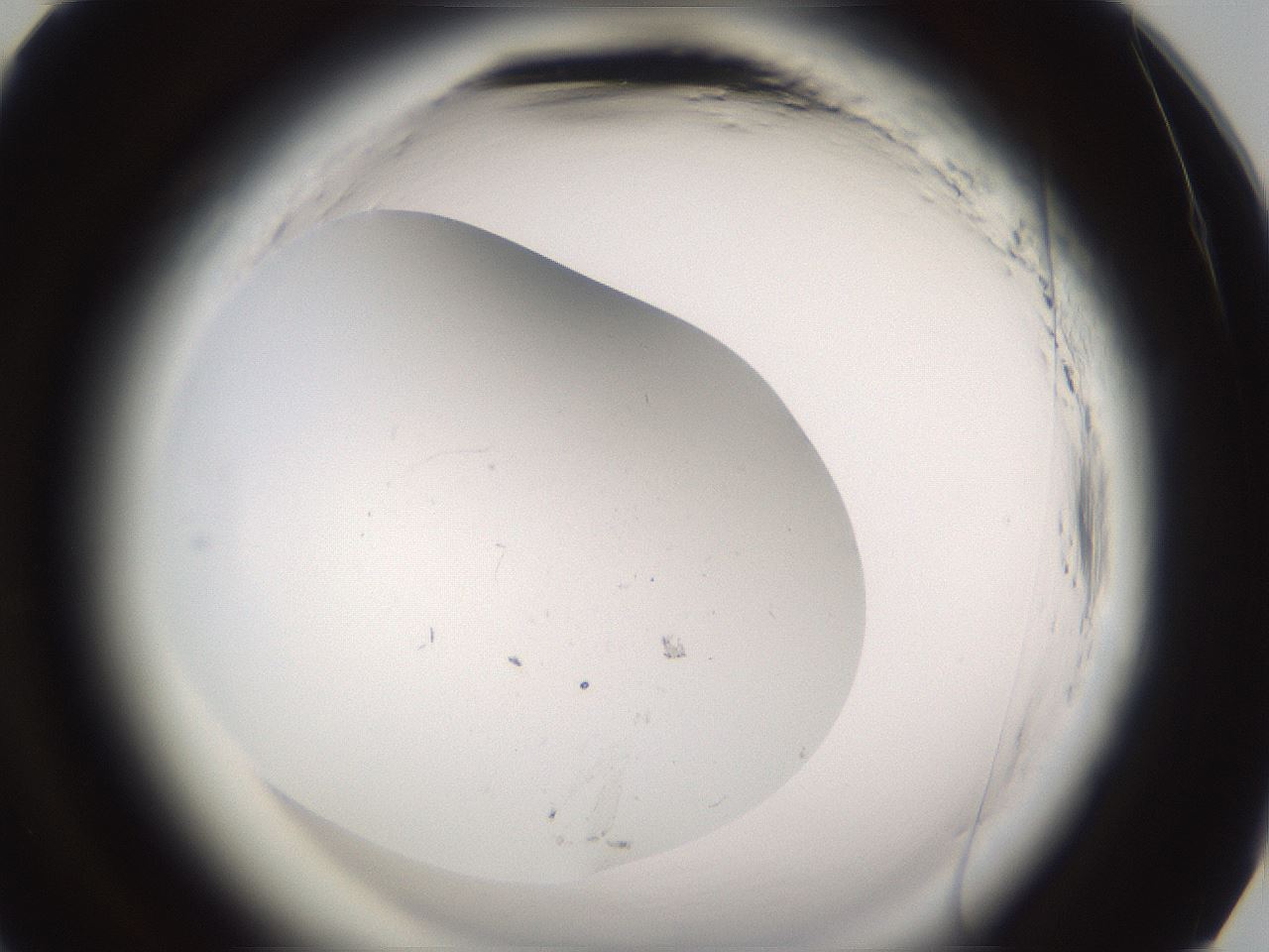 folderID589_plateID2589_batchID12743_wellNum93_profileID1_d3_r200447_ef.jpg