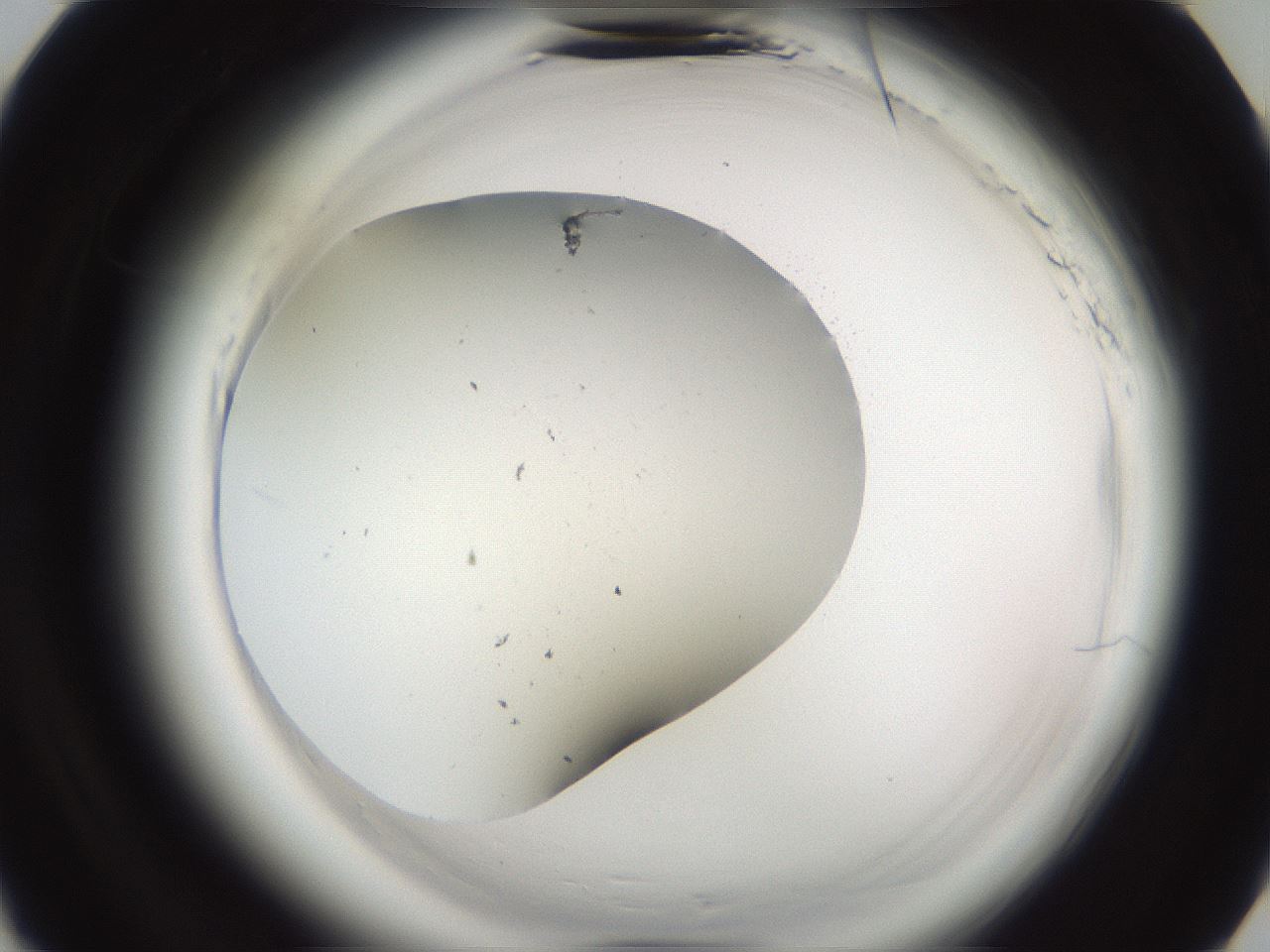 folderID587_plateID2587_batchID13066_wellNum7_profileID1_d3_r197885_ef.jpg