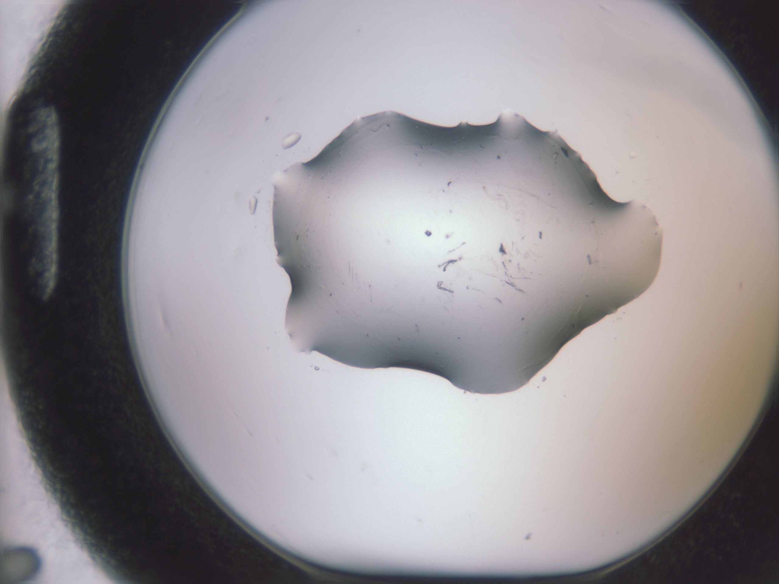 folderID58_plateID2058_batchID8940_wellNum91_profileID1_d1_r139089_ef.jpg