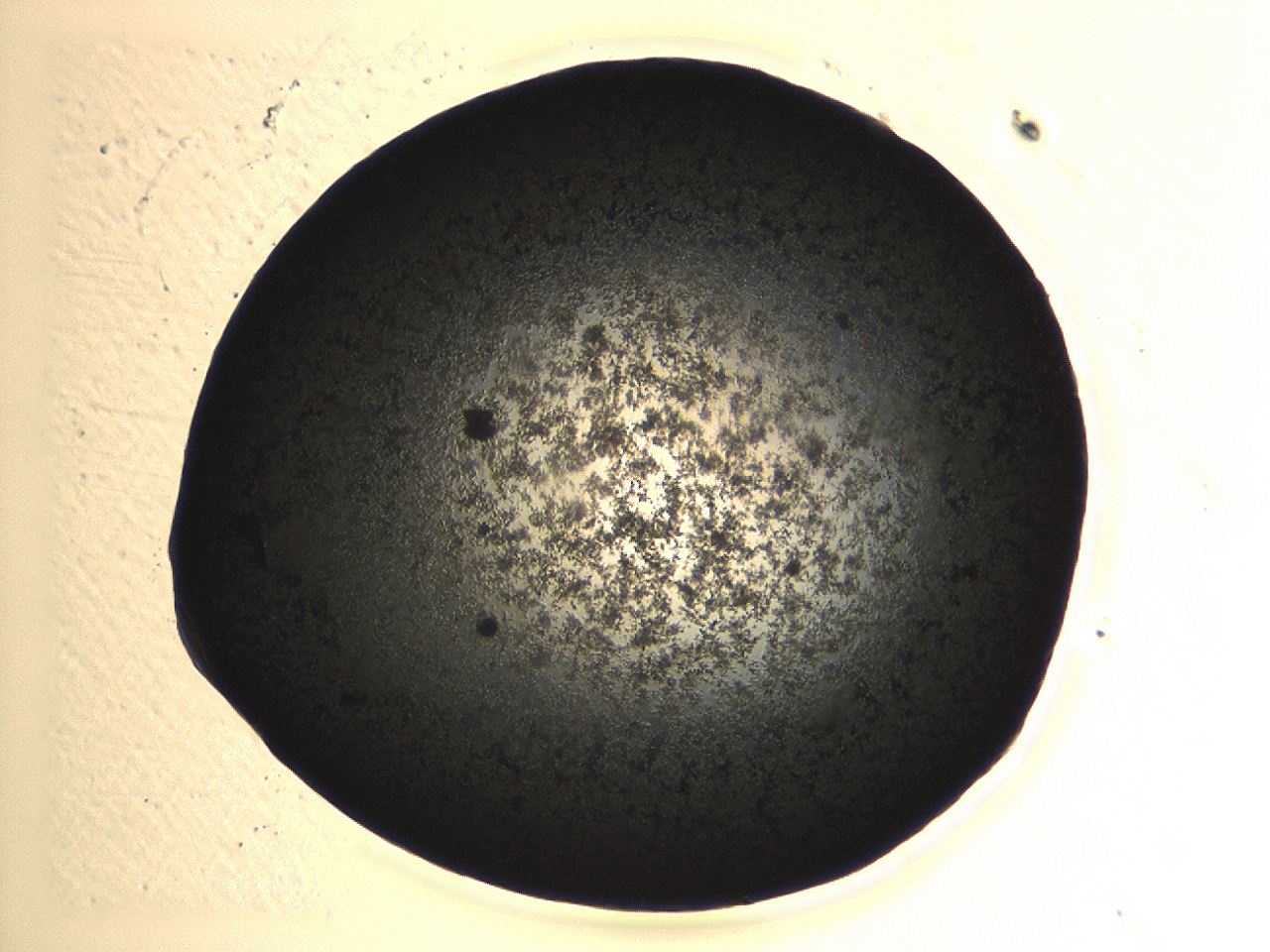 04kl_A11_ImagerDefaults_3.jpg