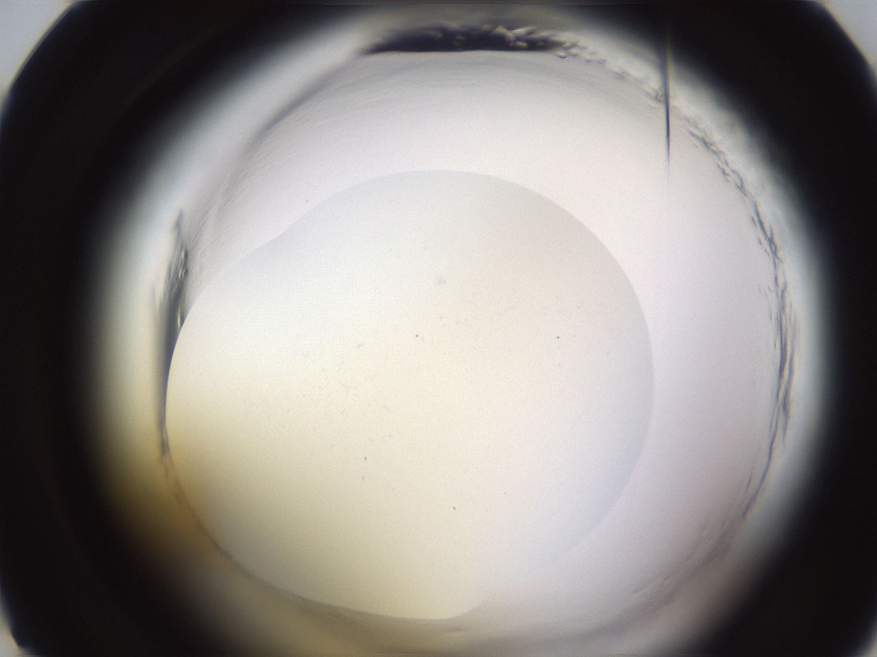 folderID592_plateID2592_batchID12754_wellNum22_profileID1_d1_r203113_ef.jpg