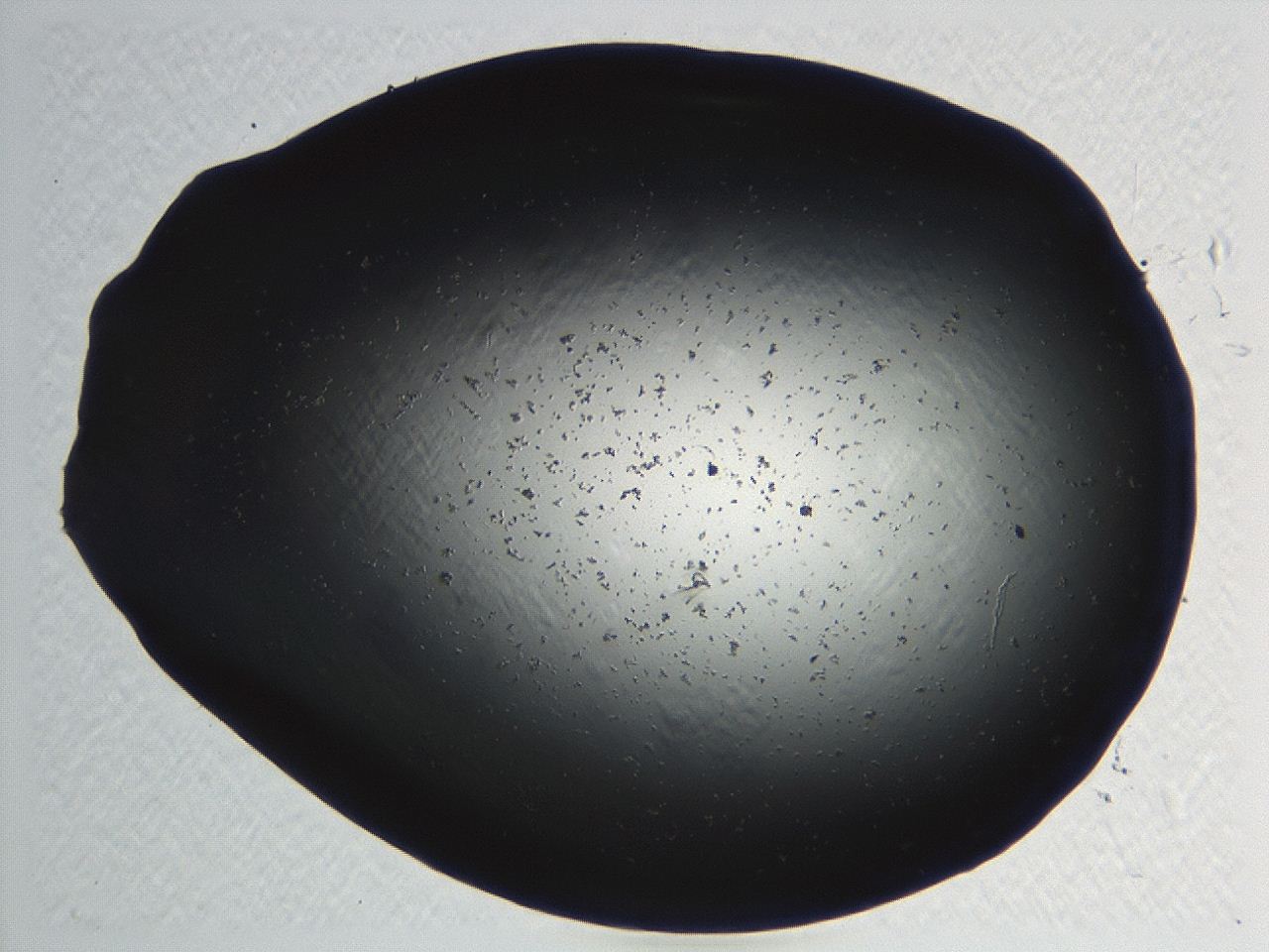 04kl_C9_ImagerDefaults_3.jpg