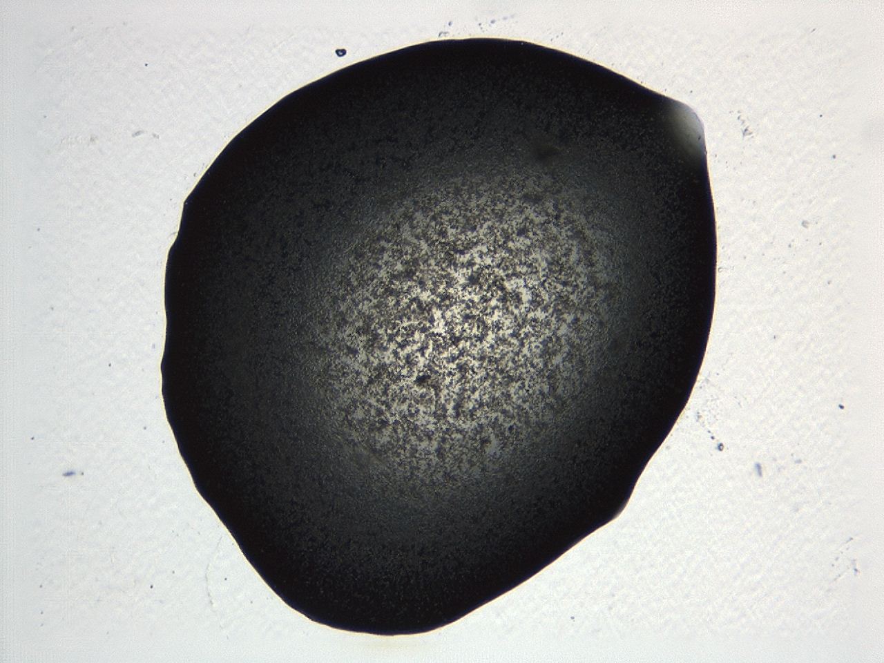 04kl_C11_ImagerDefaults_3.jpg