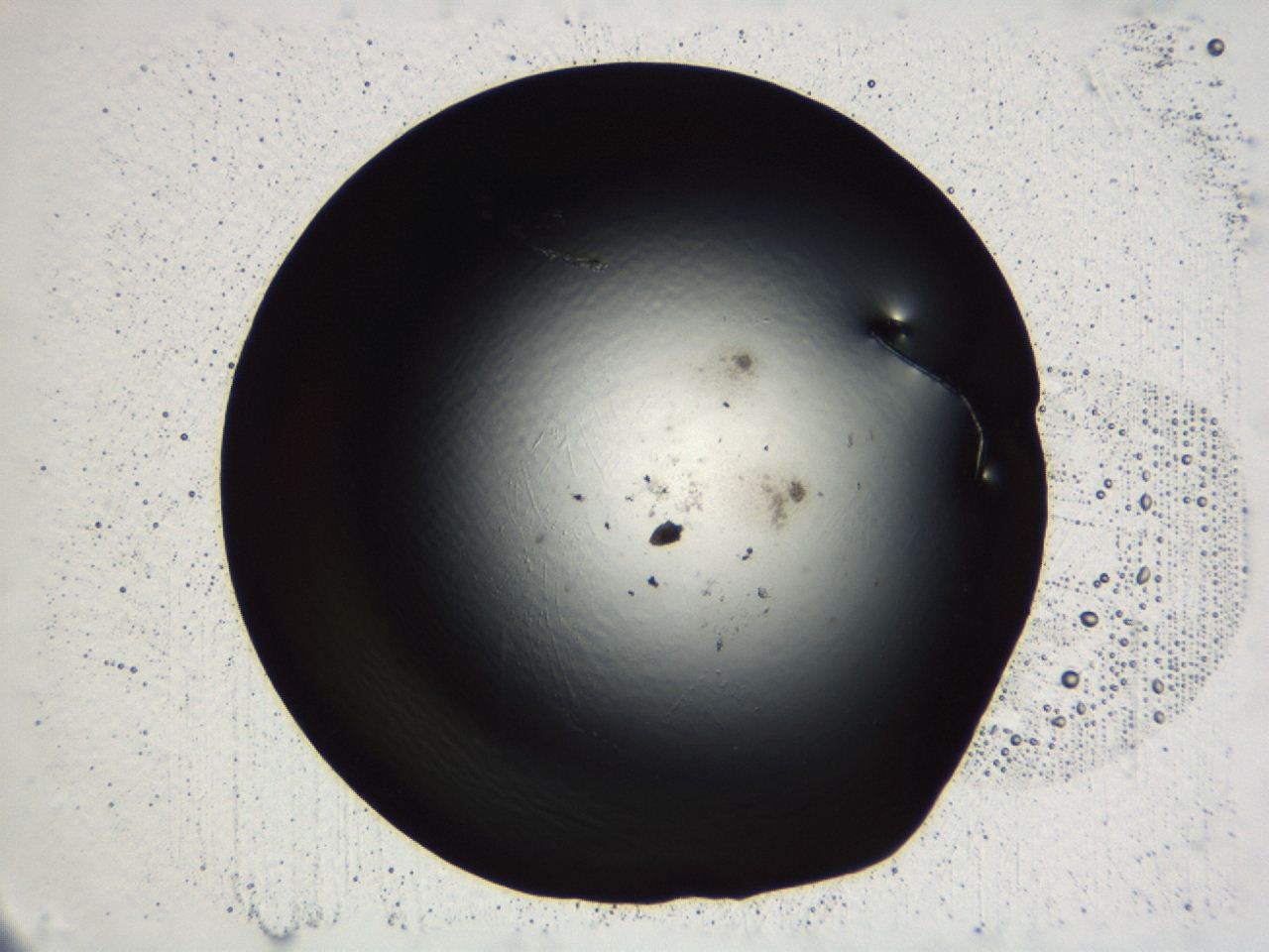04kl_C12_ImagerDefaults_0.jpg