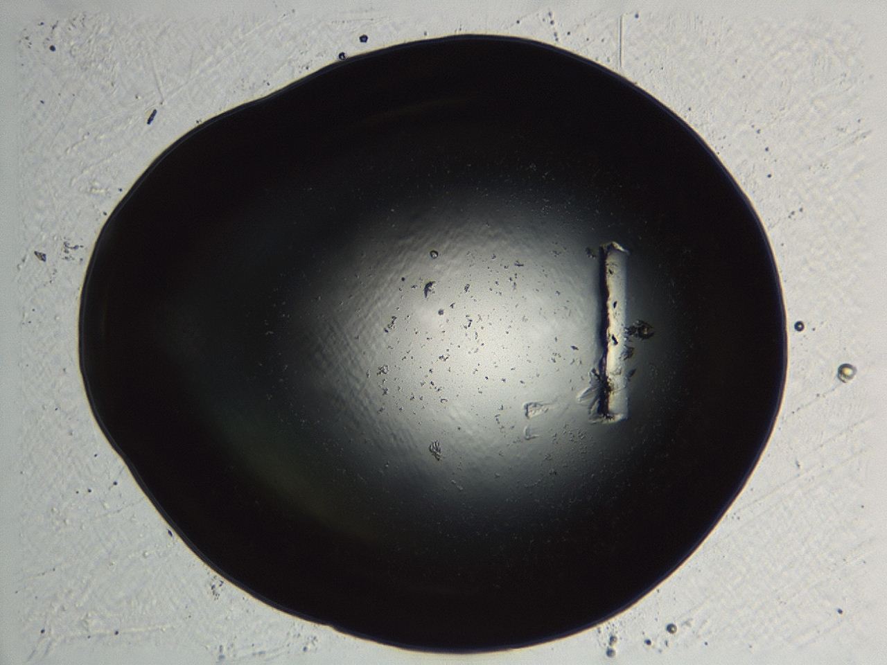 04kl_D7_ImagerDefaults_0.jpg