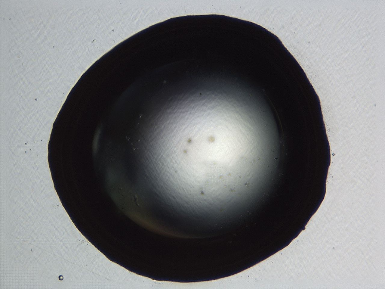 04kl_D8_ImagerDefaults_0.jpg