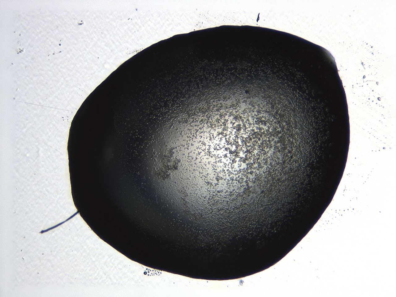 04kl_D10_ImagerDefaults_3.jpg