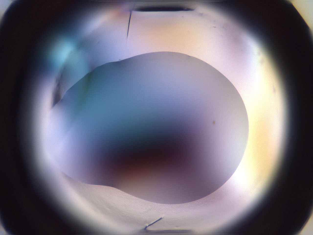 folderID599_plateID2599_batchID12826_wellNum2_profileID1_d3_r198158_ef.jpg