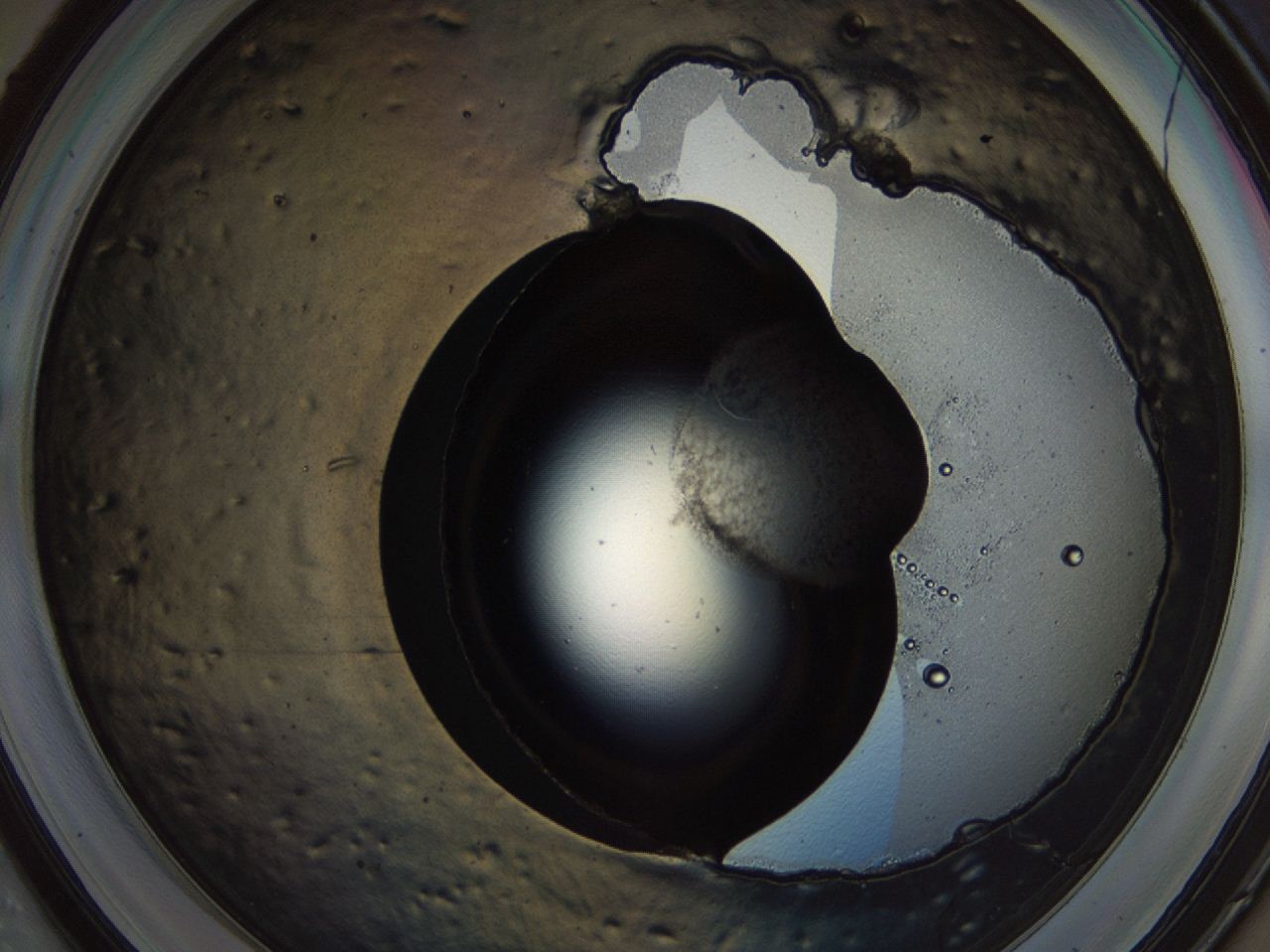 04kl_E4_ImagerDefaults_3.jpg