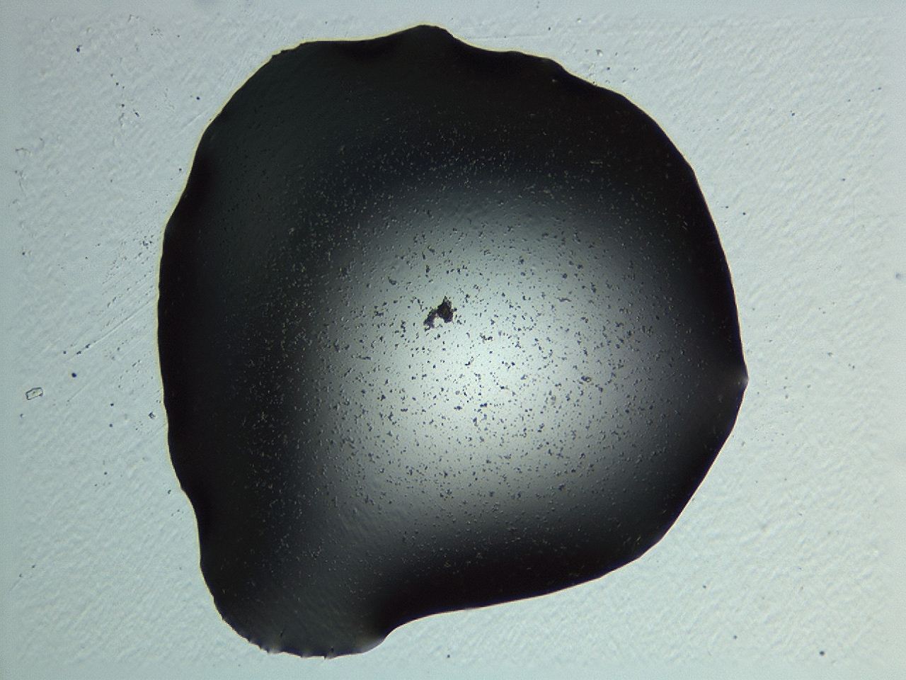 04kl_F2_ImagerDefaults_3.jpg
