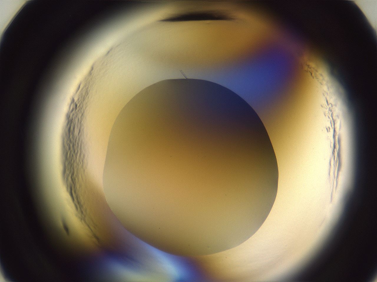 folderID600_plateID2600_batchID15095_wellNum11_profileID1_d2_r198760_ef.jpg